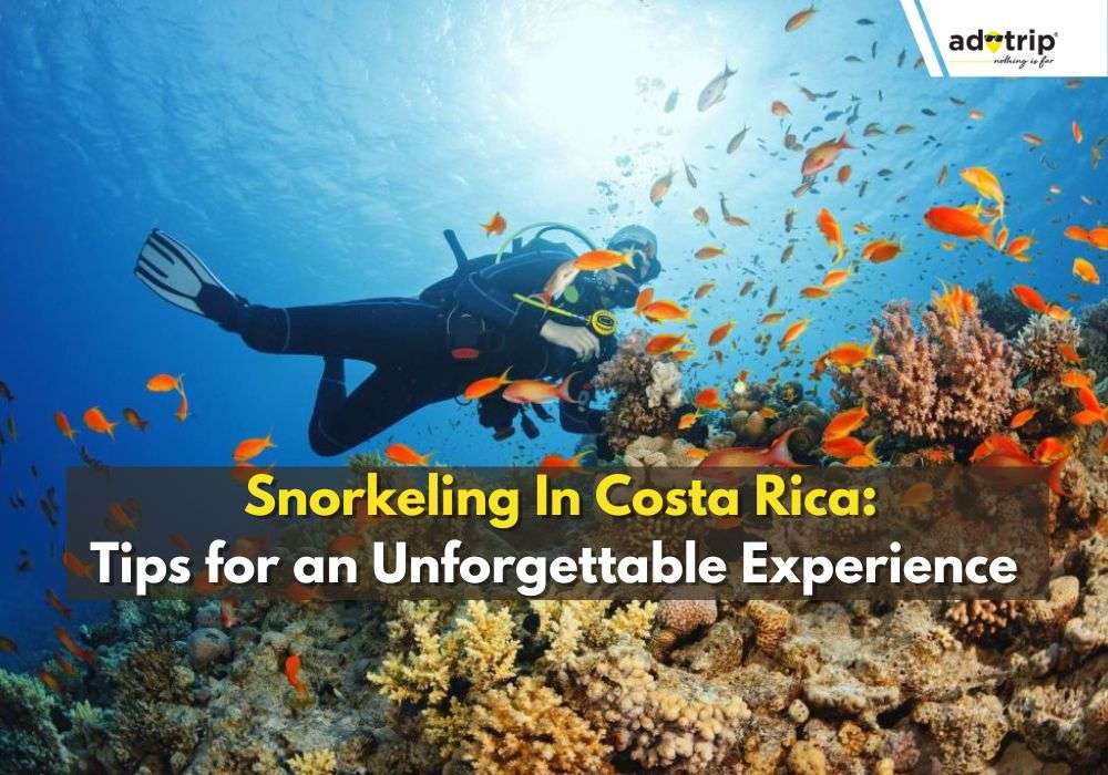 10 Best Spots For Snorkeling In Costa Rica